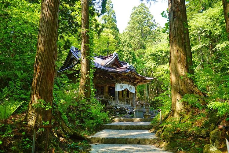 토와 신사 (Towada Shrine)
