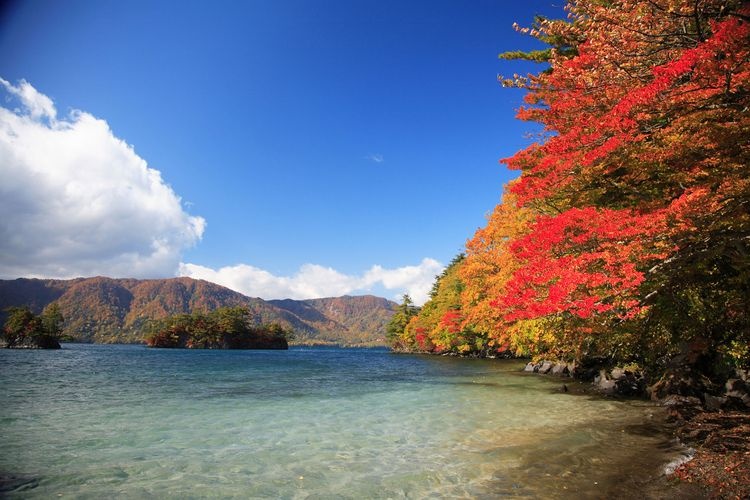 ทะเลสาบโทวาดะ (Lake Towada) 2