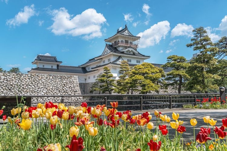Kastil Toyama / Museum Sejarah Lokal Kota Toyama 6
