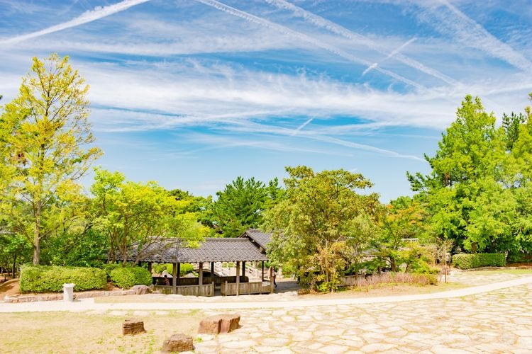 Toriyanogata Park 3