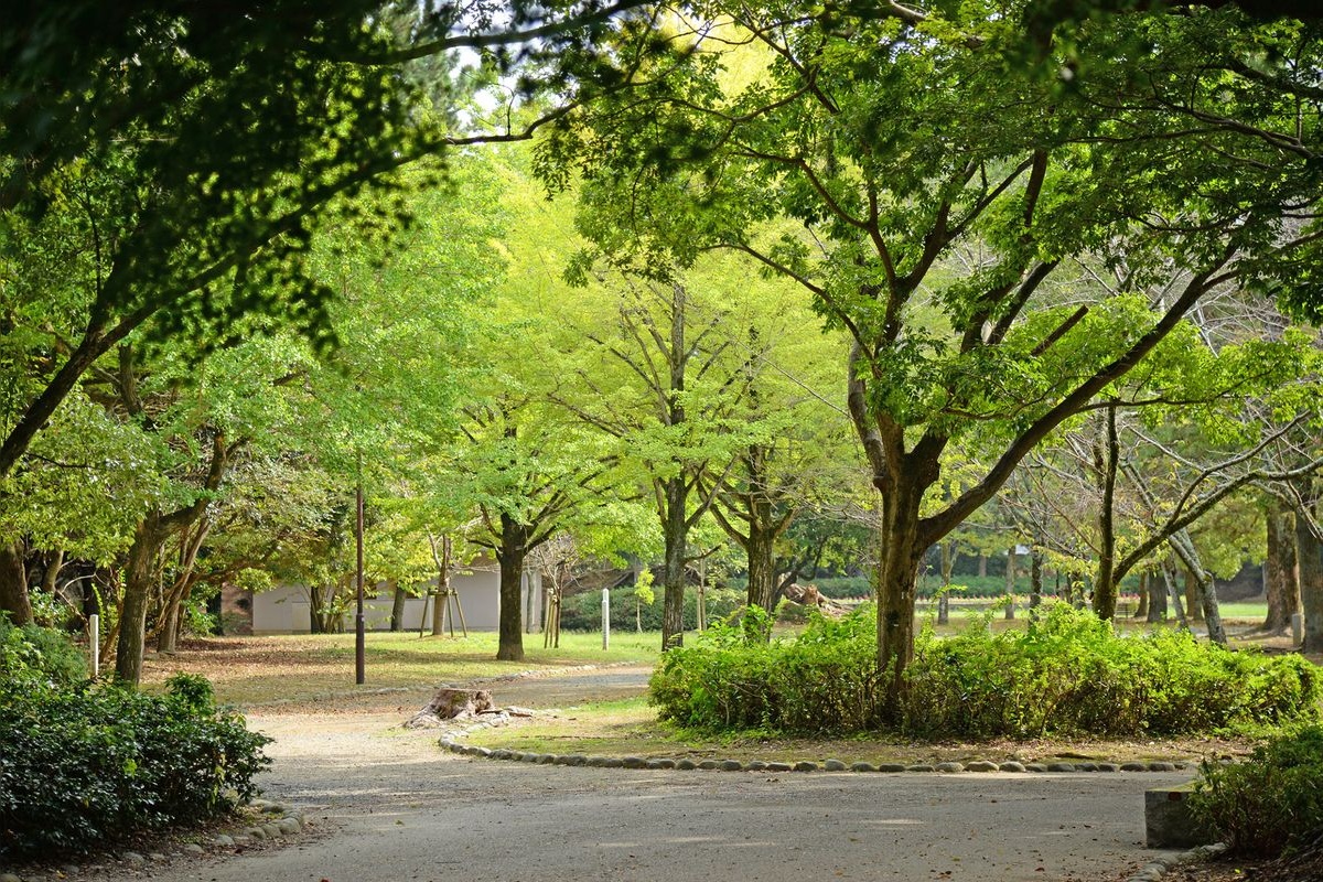 豊橋公園（吉田城跡）