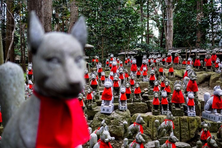 Toyokawa Inari 3