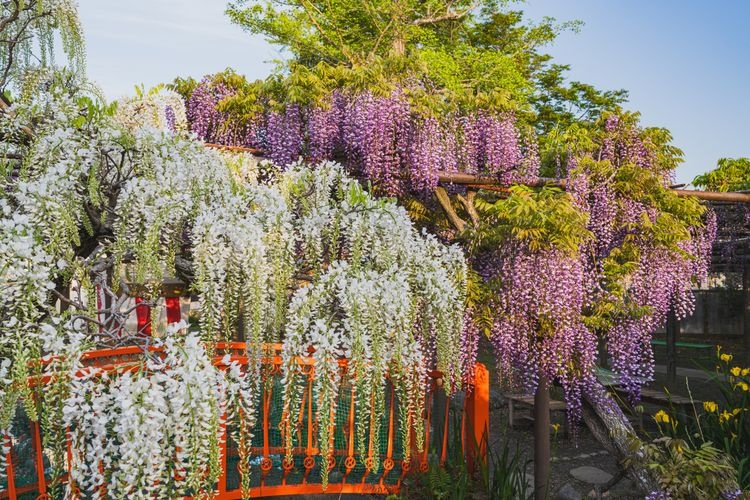Toyota Kumano Memorial Park