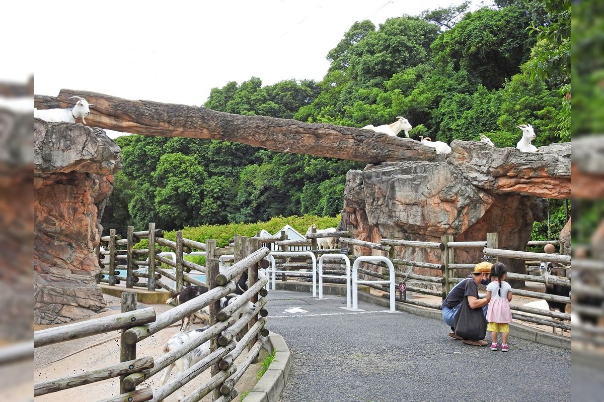 Toitsu no Mori Park