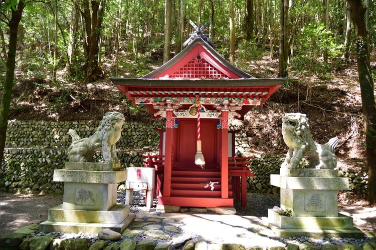 繼櫻王子 (Tsugizakura Oji)