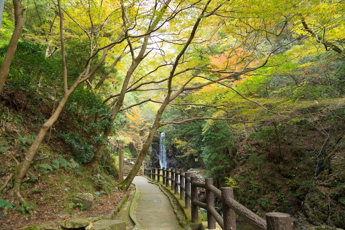 鼓ヶ滝公園 (Tsuzumi no Taki Park)