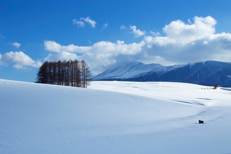 嬬恋全景线 (Tsumagoi Panorama Line)