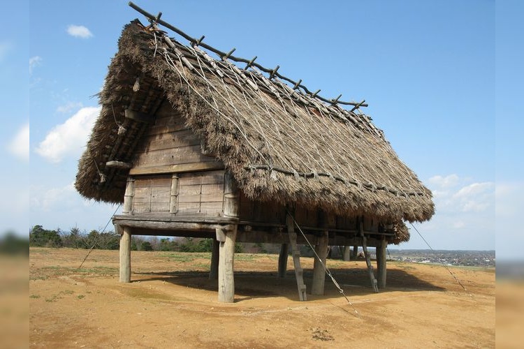 妻木晩田遺跡 (Tsumakibanda Site) 2