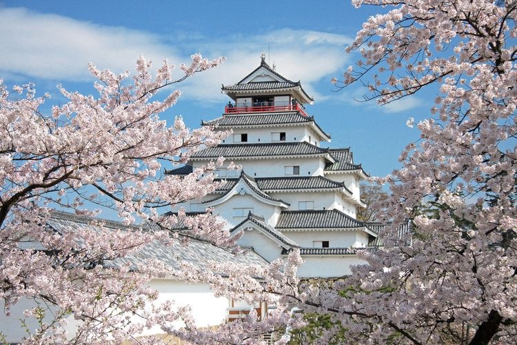 Thành Tsuruga (Lâu đài Aizu Wakamatsu) 4