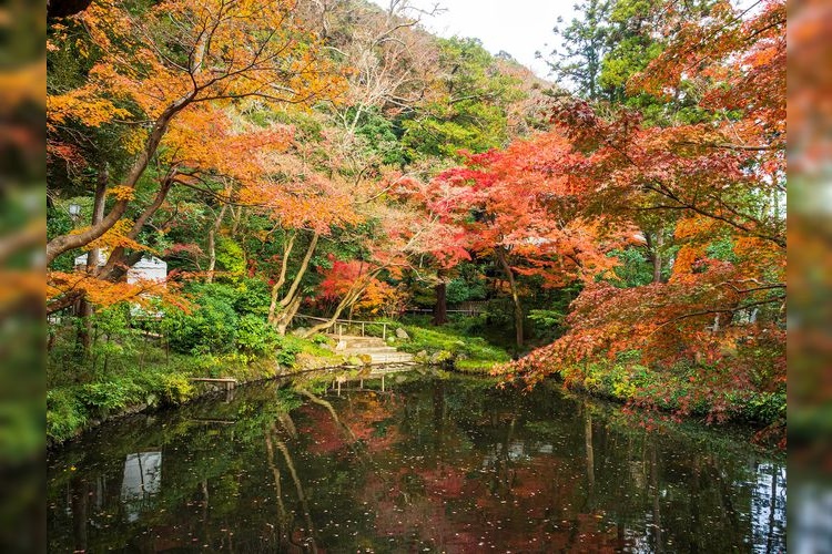 Tsurugaoka Hachimangu 2