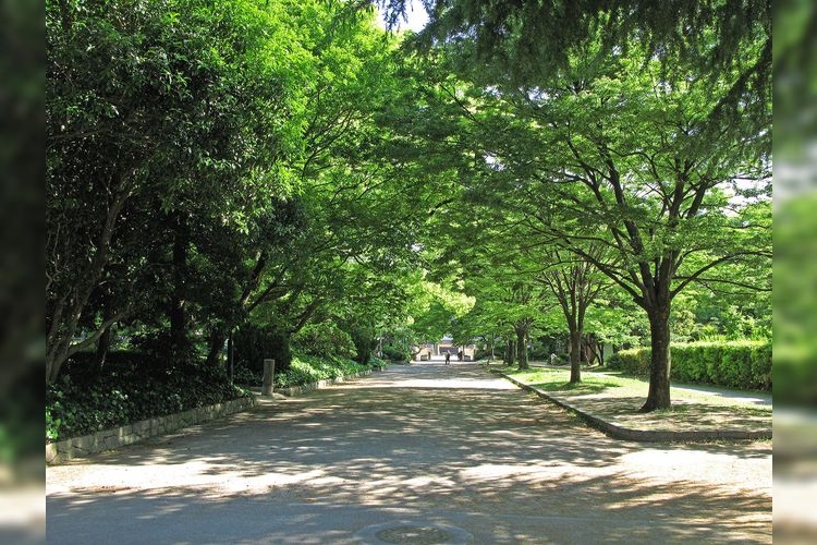 Tsuruma Park