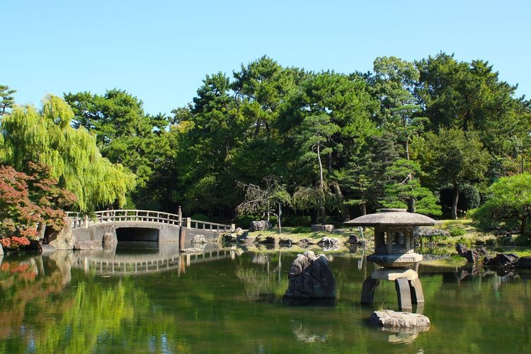Tsuruma Park 3