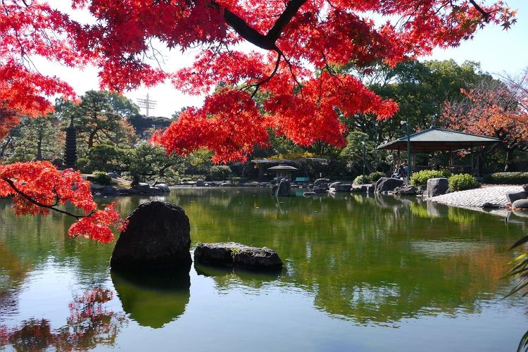 Tsuruma Park 7