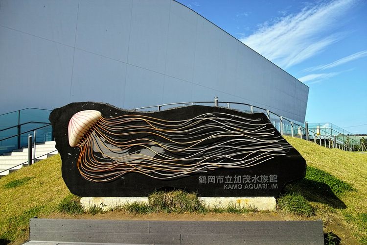 鶴岡市立加茂水族館