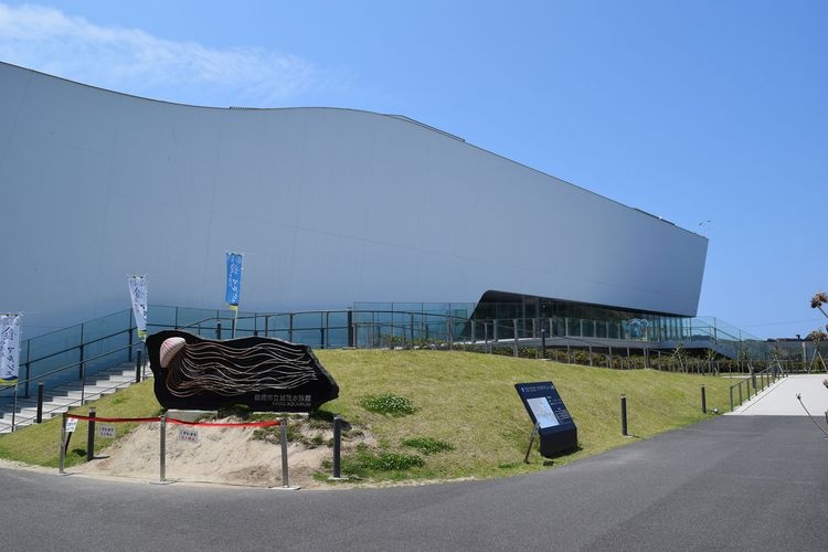 鶴岡市立加茂水族館 4