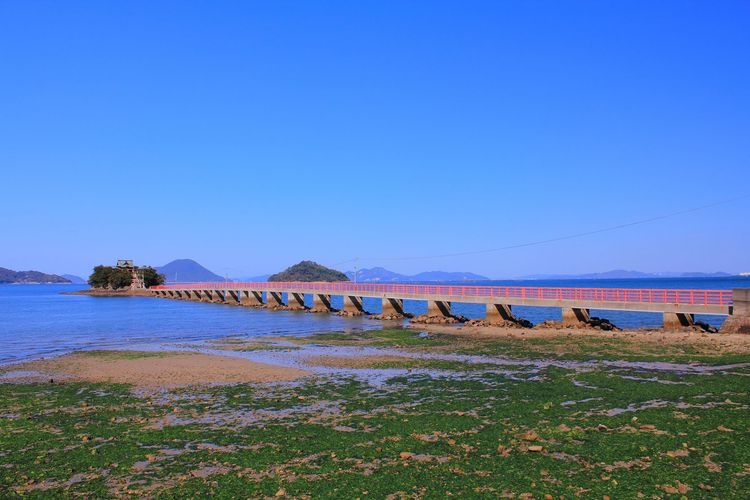 Đền Tsushima 2