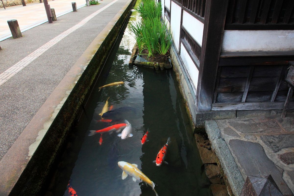 津和野町(傳統建築群保存地區)