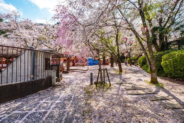 Ubuki Park
