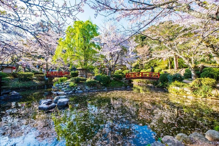 Ubuki Park 2
