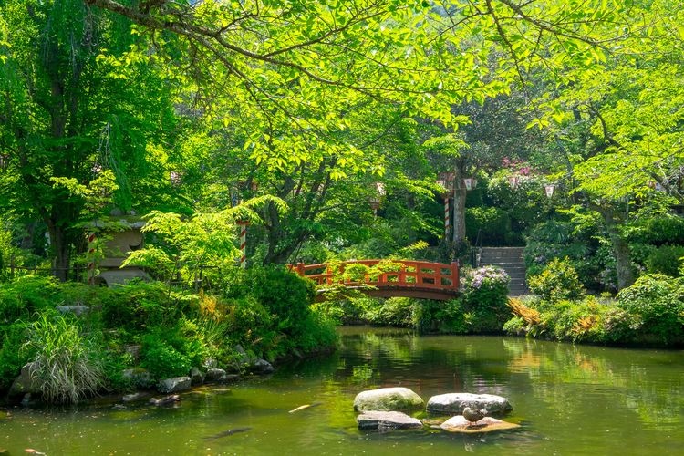 Ubuki Park 3
