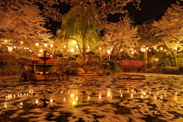 Ubuki Park 4