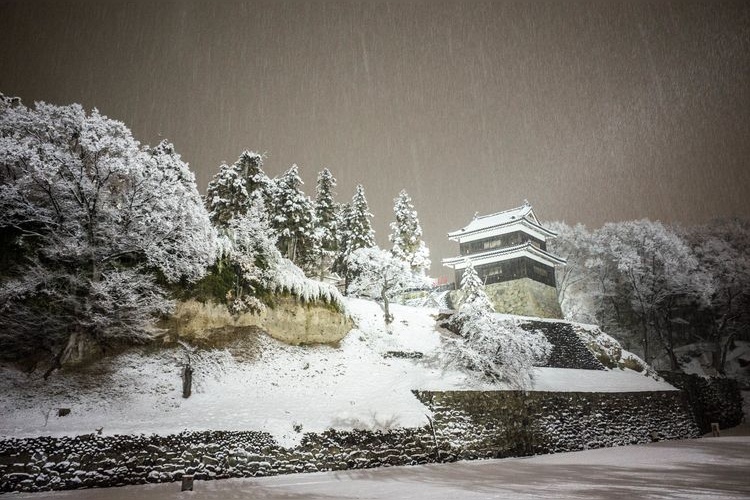 上田城 (Ueda Castle)