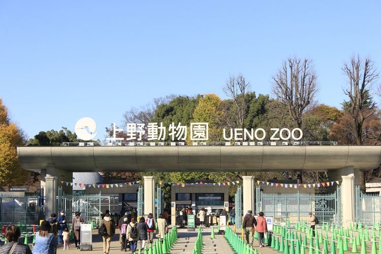 Kebun Binatang Ueno 2