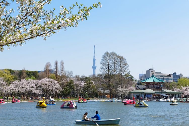 上野恩賜公園 3