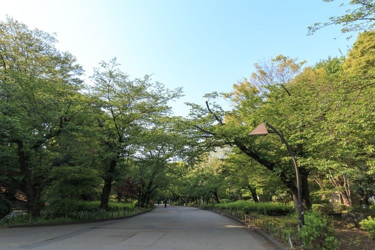 上野恩賜公園 4
