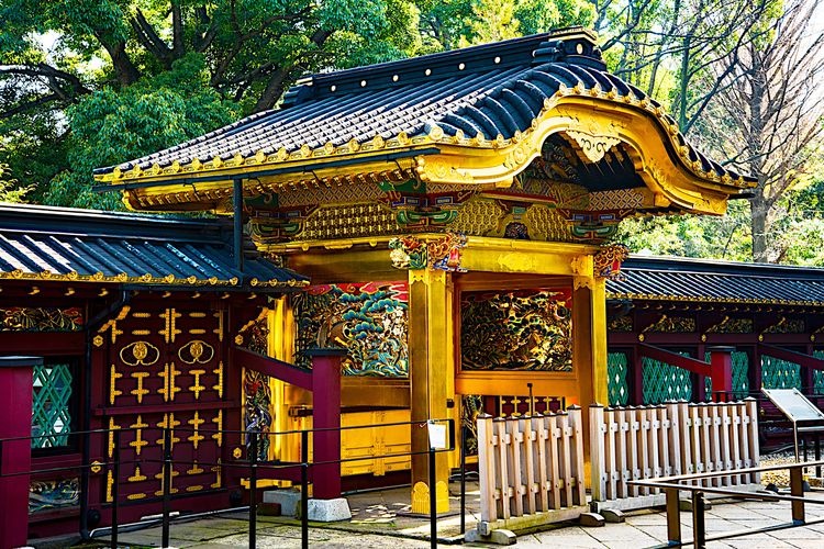 Ueno Toshogu Shrine 4