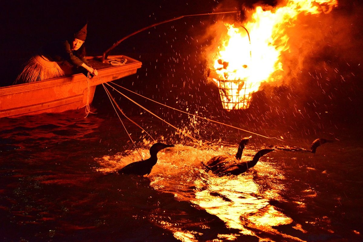 우지강의 우카이 (Uji River Cormorant Fishing)