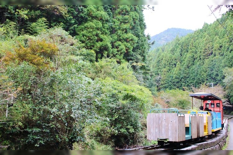 Umaji Forest Railway