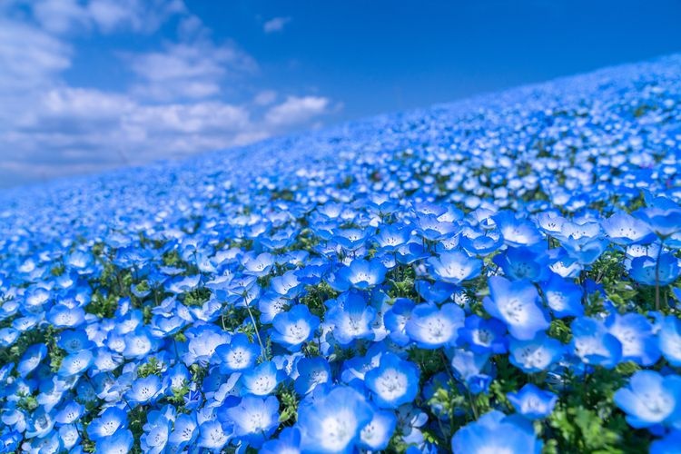 海之中道海濱公園