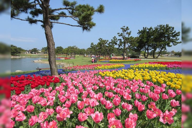 海之中道海濱公園 2