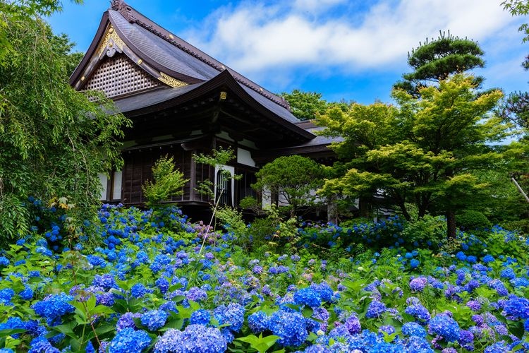 Unsho-ji