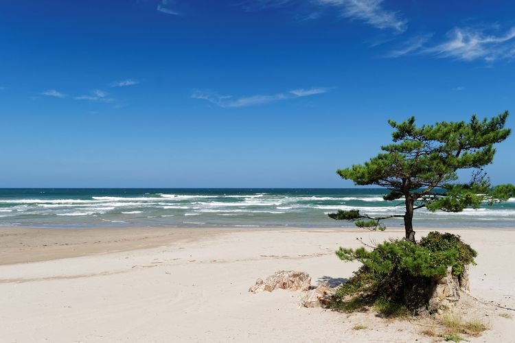 Uraumi Coast 3