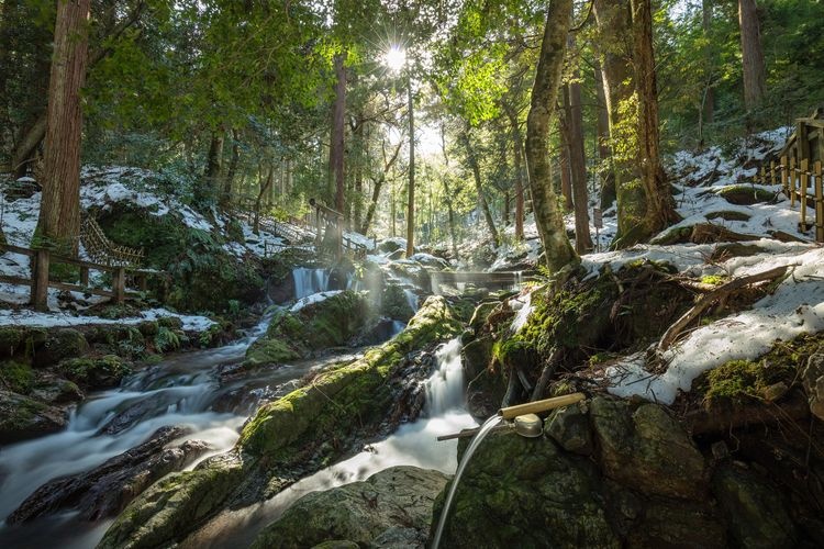 Cascada Uriwari (Parque de Agua de Wakasa Uriwari) 3