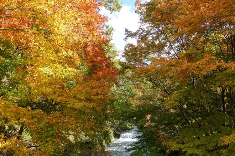 牛伏川本流水路(牛伏川フランス式階段工)