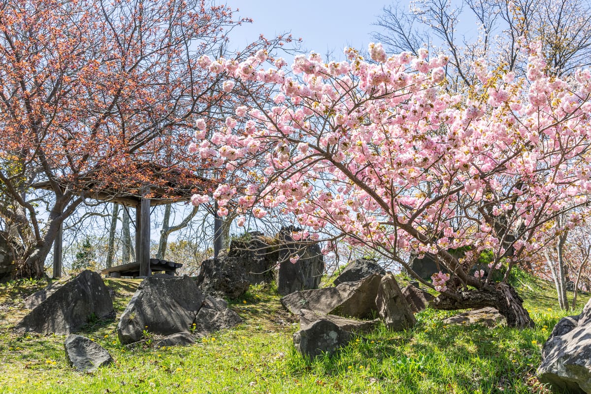 Usu Zenko-ji