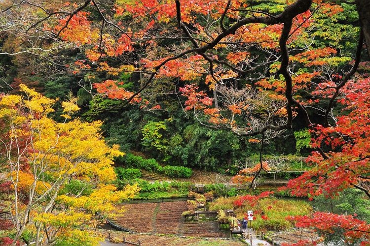 สวนสาธารณะอุทาชิยามะ (Utashiyama Park) 2