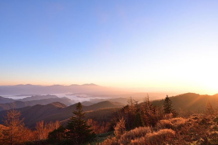 美ヶ原高原 (Utsukushigahara Highland) 2
