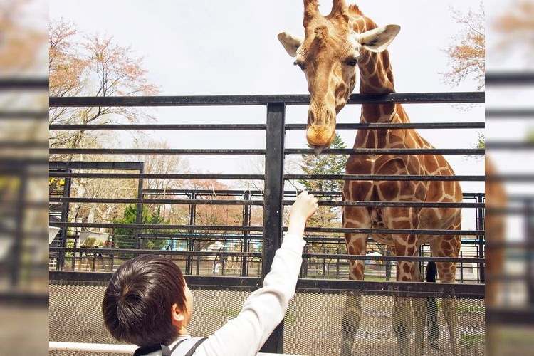 宇都宮動物園 3