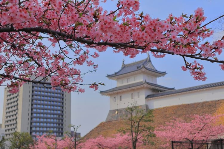 우츠노미야 성터 공원 2