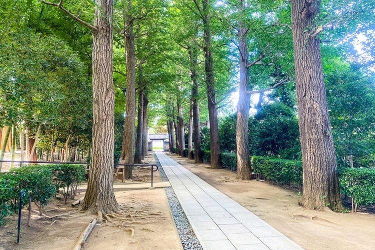Wadabori Park
