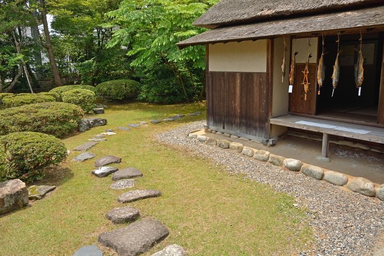 Kedai Wakabayashi