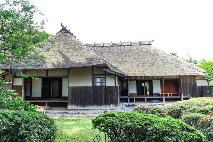 Kedai Wakabayashi 3