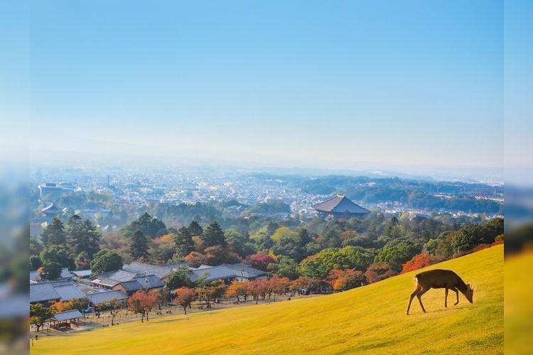 Monte Wakakusayama