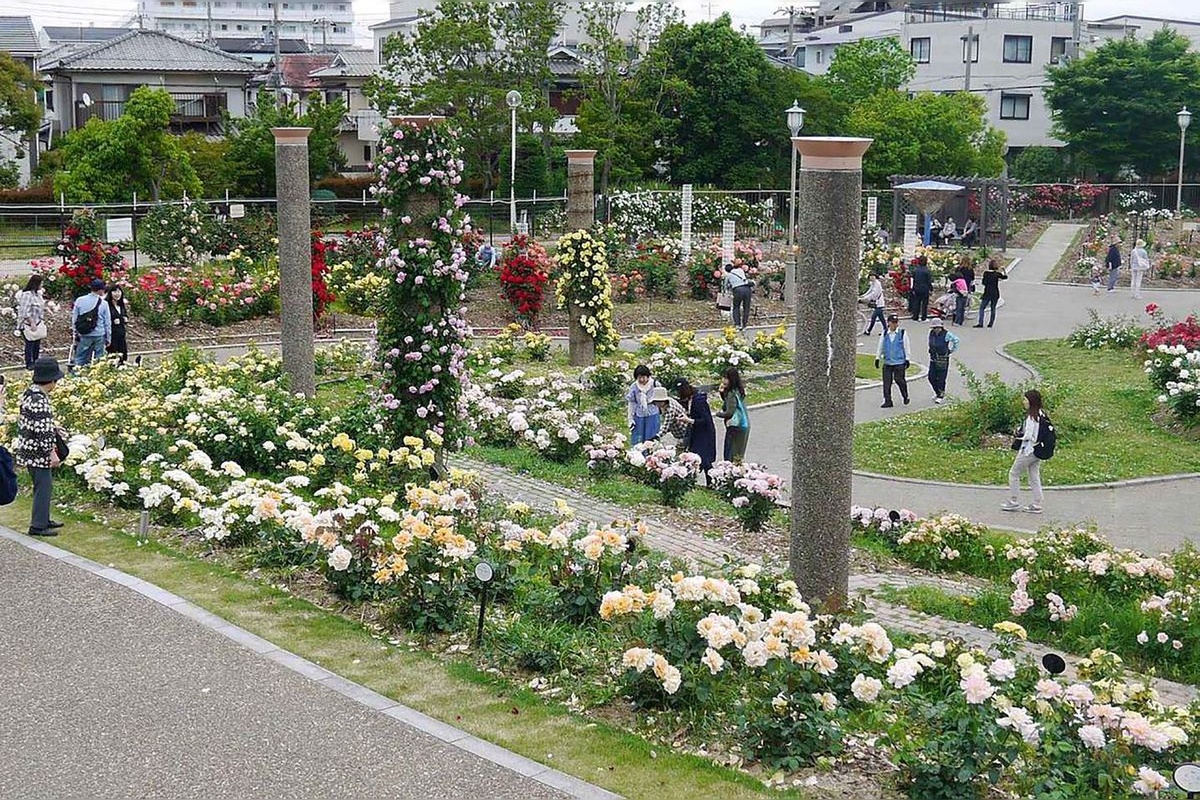 Parque Wakazono