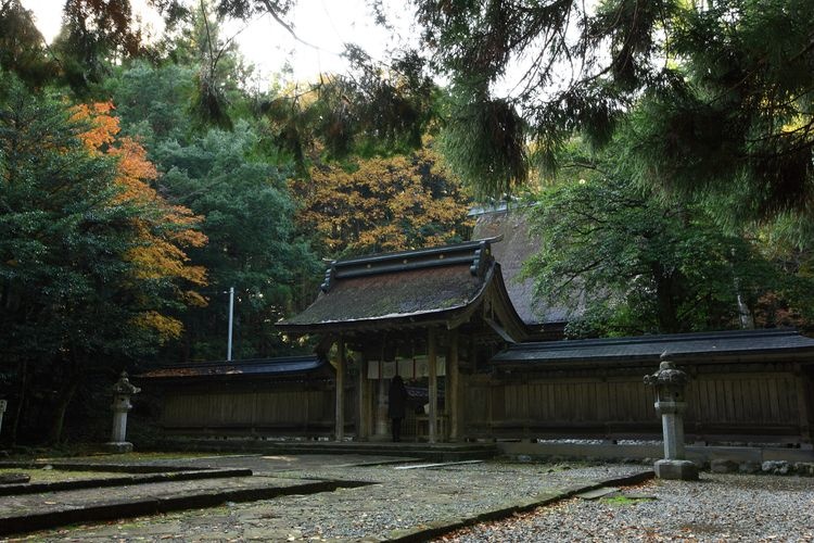 Wakasahiko Shrine 3