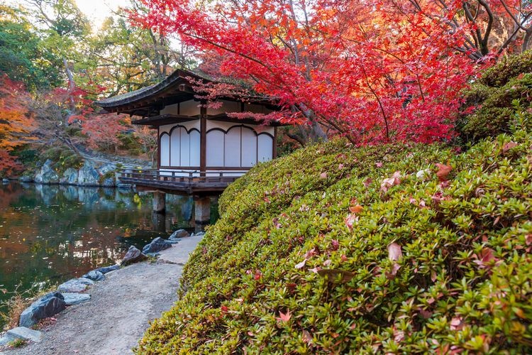 Lâu đài Wakayama và Vườn Koyo Keitei 2